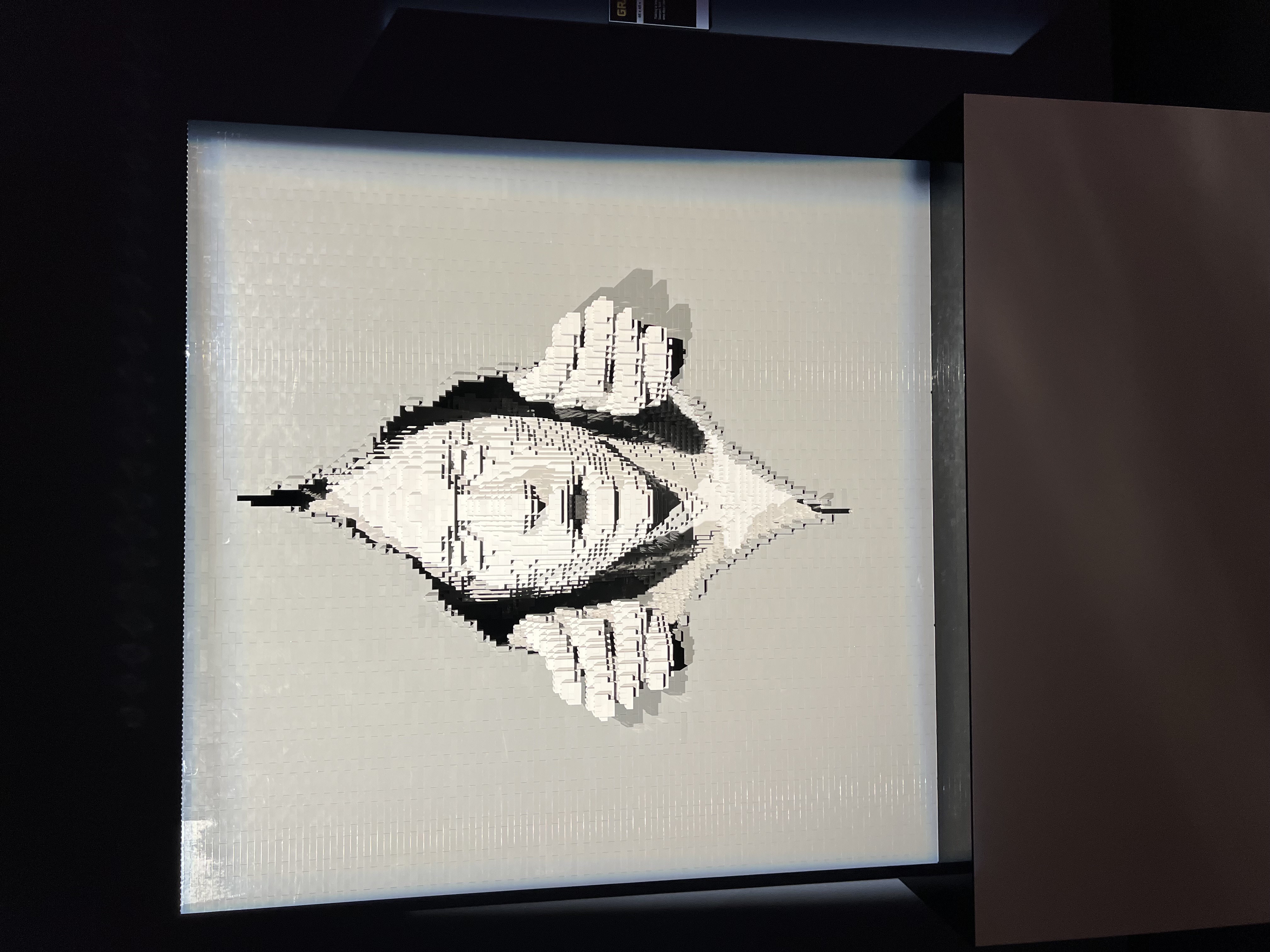 ./2023/07 - Art of the Brick/IMG_9545.JPG